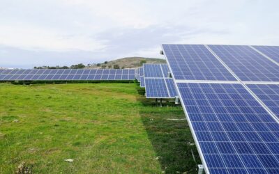 Eco-Friendly Initiatives: How Government Energy Schemes are Transforming the UK