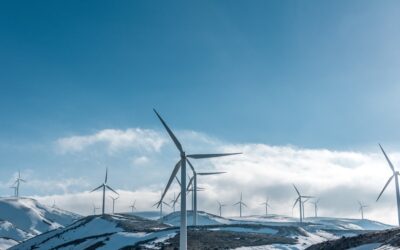 The Ultimate Guide to Energy-Efficient Appliances: How to Save Money and the Environment