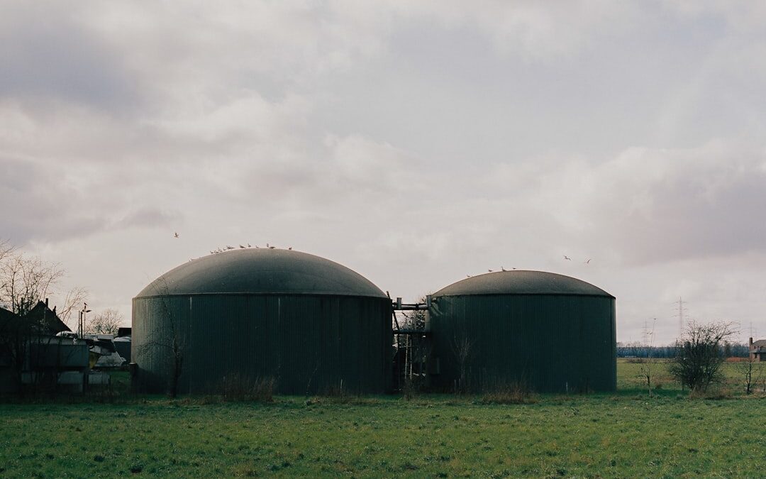 Is Biogas a Realistic Option for UK Homes in 2024?