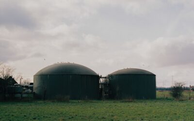Is Biogas a Realistic Option for UK Homes in 2024?